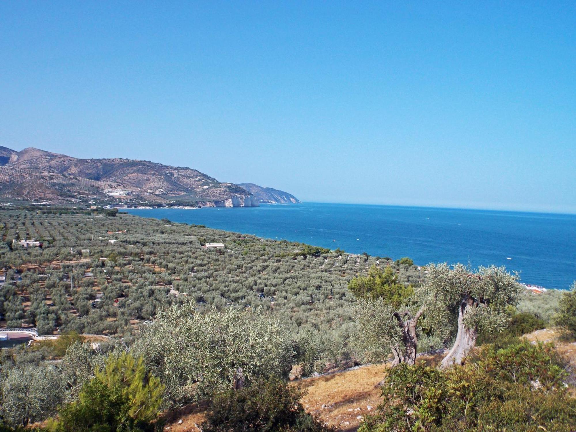 Case Vacanze Uliveto Маттината Экстерьер фото